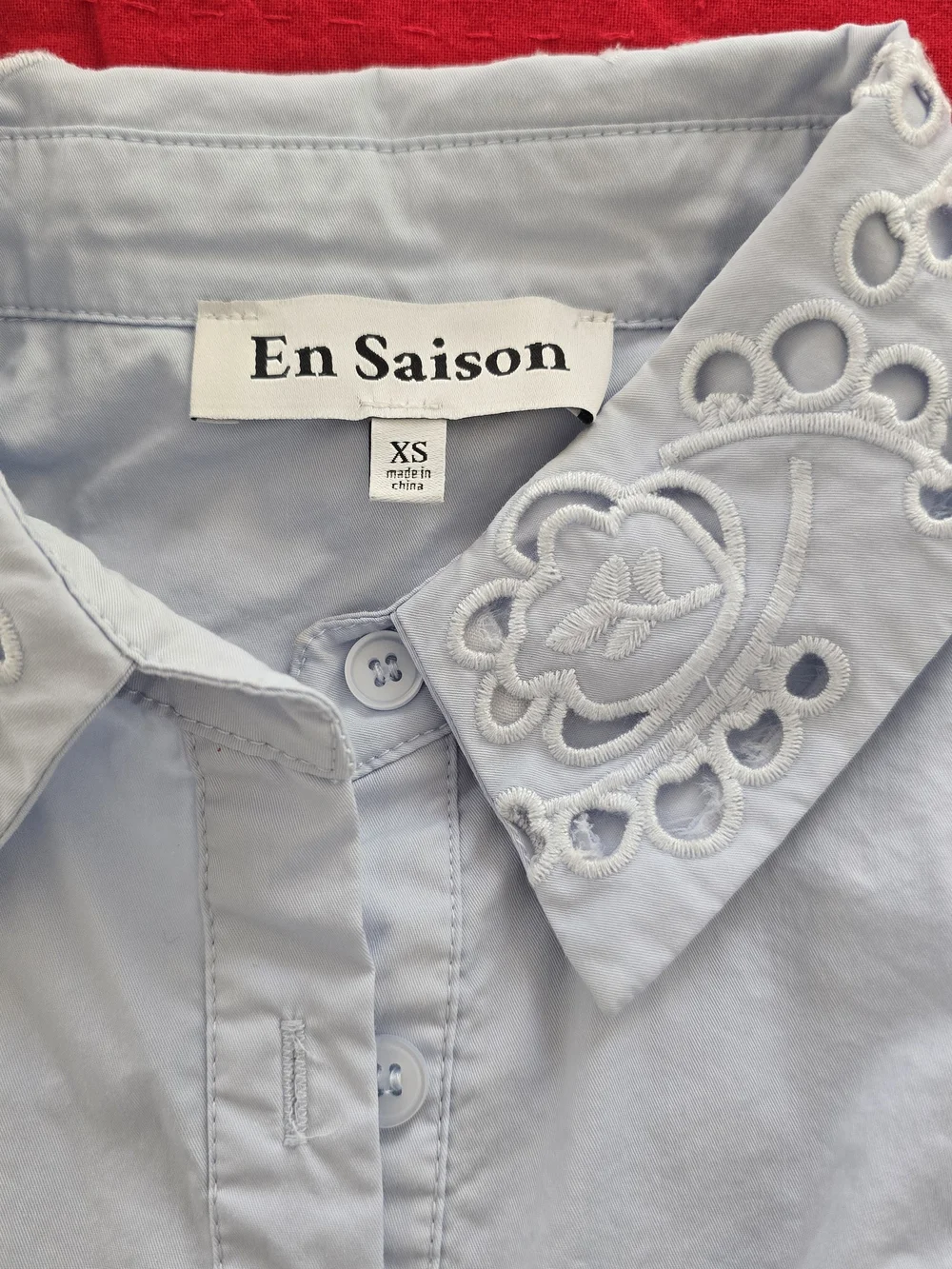 Light Blue Embroidered Balloon Sleeve Blouse